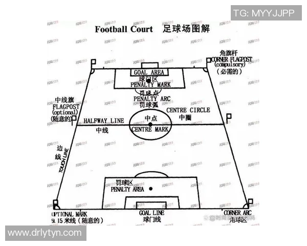 130号足球明星的身份揭秘与成就分析 130号足球明星的身份揭秘与成就分析